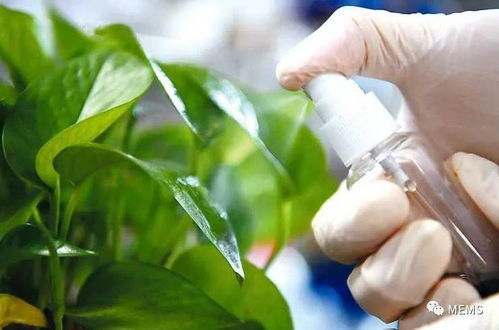 紅外光控釋農藥研發取得重要進展，生物農藥技術迎來新突破