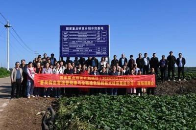 綠色防控，“薯”來運(yùn)轉(zhuǎn)——河南省農(nóng)科院植保所召開甘薯病蟲害綠色防控培訓(xùn)觀摩會(huì)