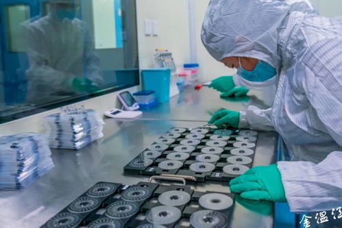 溫江吹響服務(wù)業(yè)發(fā)展集結(jié)號(hào) 生物農(nóng)藥技術(shù)研發(fā)引領(lǐng)綠色產(chǎn)業(yè)新風(fēng)向