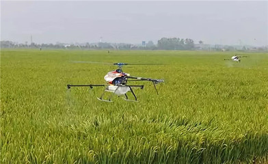 從跟跑到領(lǐng)跑 我國(guó)農(nóng)藥行業(yè)四十年變遷與諾普信在生物農(nóng)藥研發(fā)中的使命