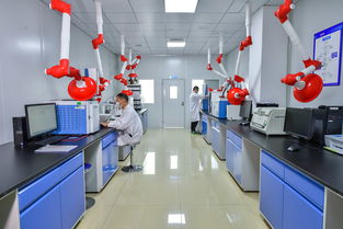 斯坦德檢測(cè)再次榮獲青島市“專精特新”稱號(hào)，生物農(nóng)藥技術(shù)研發(fā)成果獲肯定