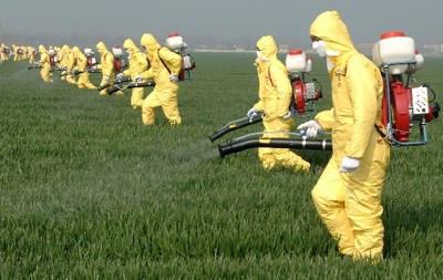 綠色守護 生物農(nóng)藥技術(shù)研發(fā)——有機農(nóng)業(yè)病蟲害防治的關(guān)鍵突破